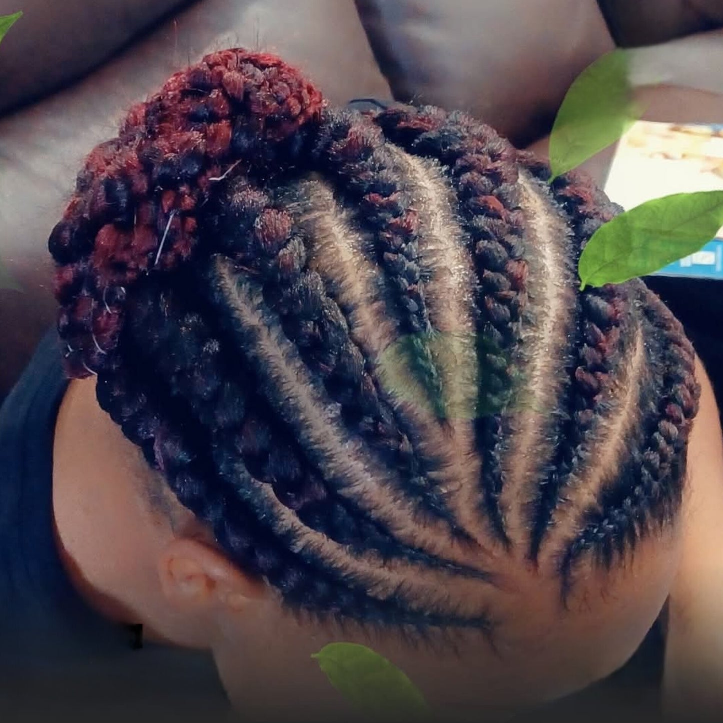 Feed-in-braids start up price